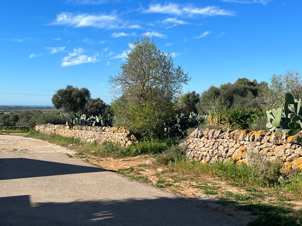 Helårsgrund i Ses Salines, Mallorca - foto 4