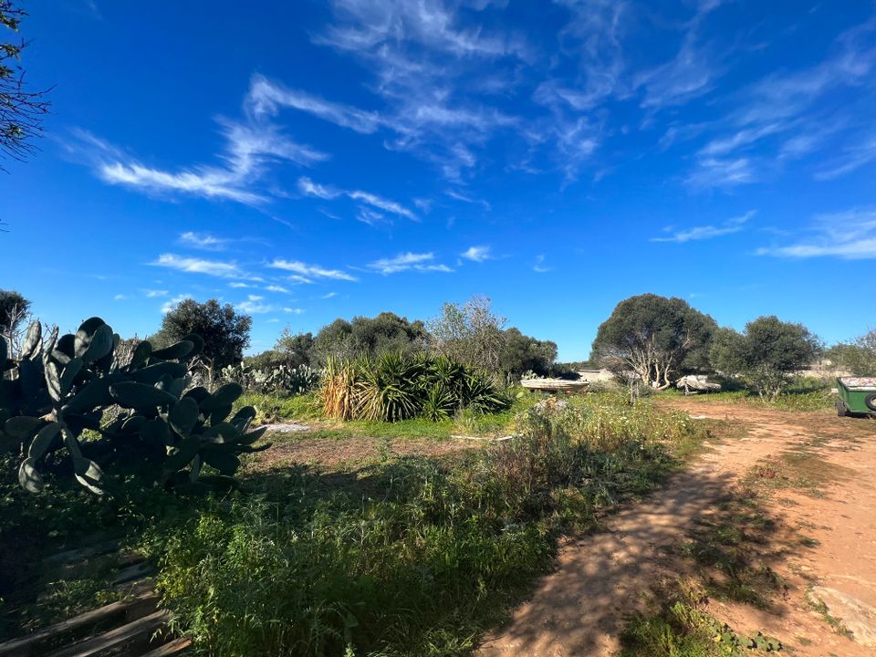 Helårsgrund i Ses Salines, Mallorca - foto 5