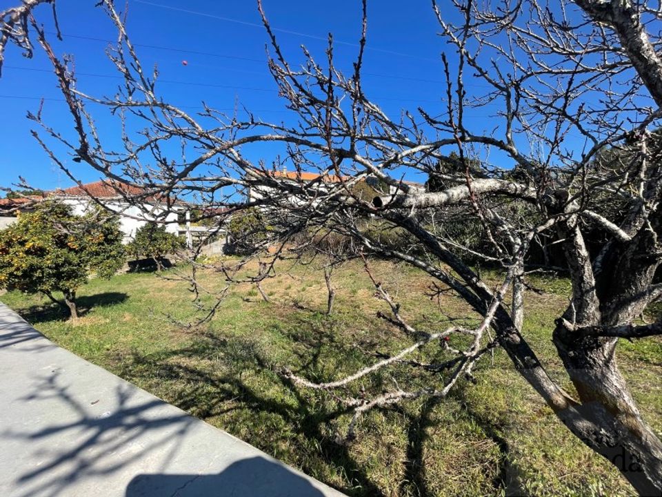 Tomt i Ceira, Coimbra - bilde 5