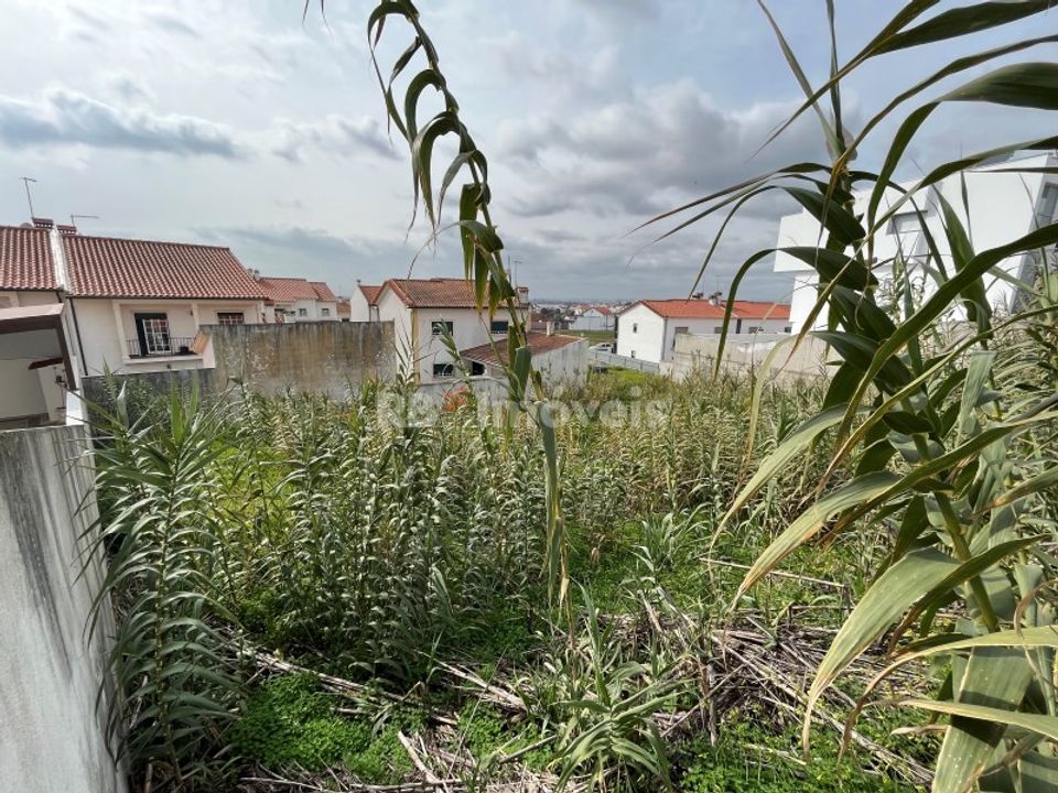Helårsgrund i Vila Nova da Barquinha, Santarem - foto 3