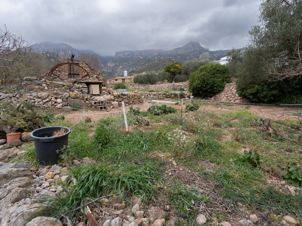 Helårsgrund i Alfara De Carles, Tarragona - foto 2
