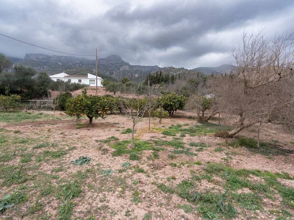 Helårsgrund i Alfara De Carles, Tarragona - foto 5