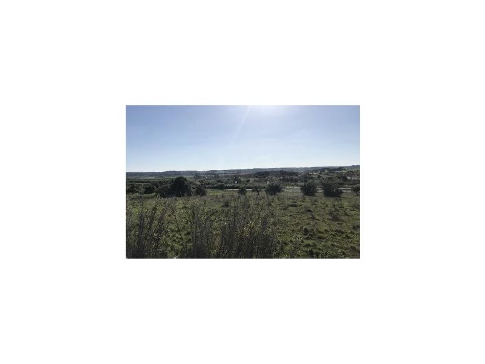 Helårsgrund i Vale de Santarem, Santarem - foto 4
