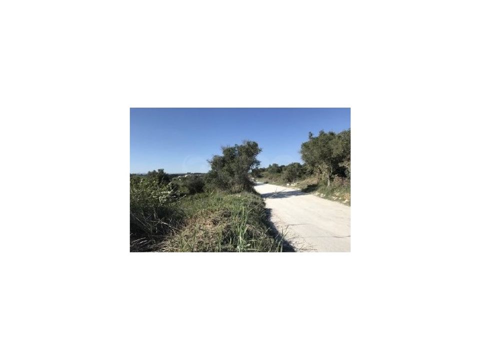 Helårsgrund i Vale de Santarem, Santarem - foto 5
