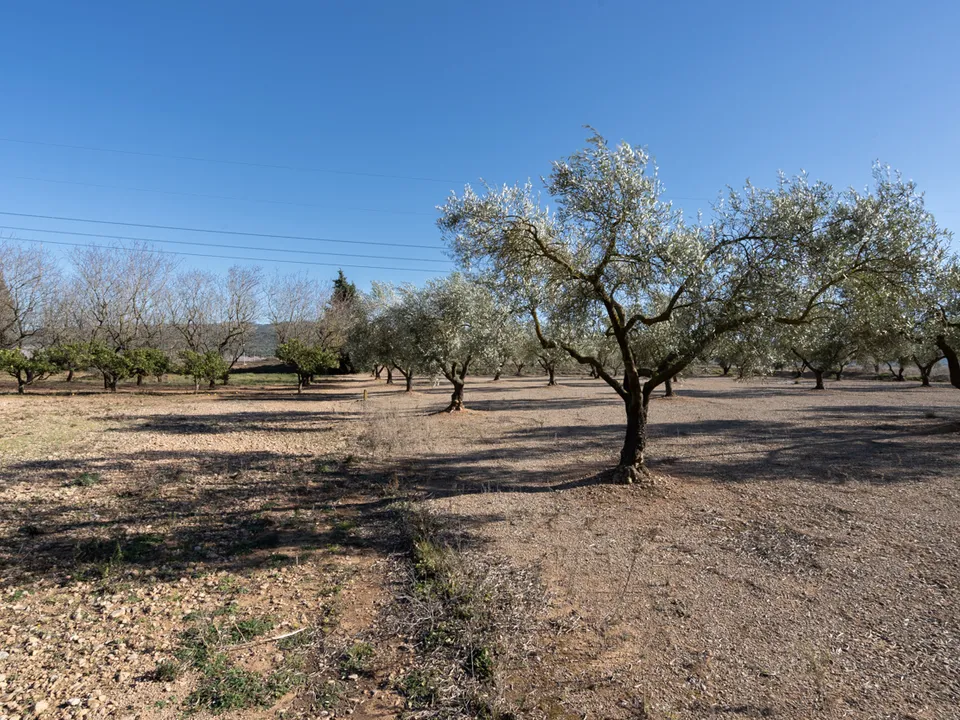 Finca i La Galera, Tarragona - foto 3