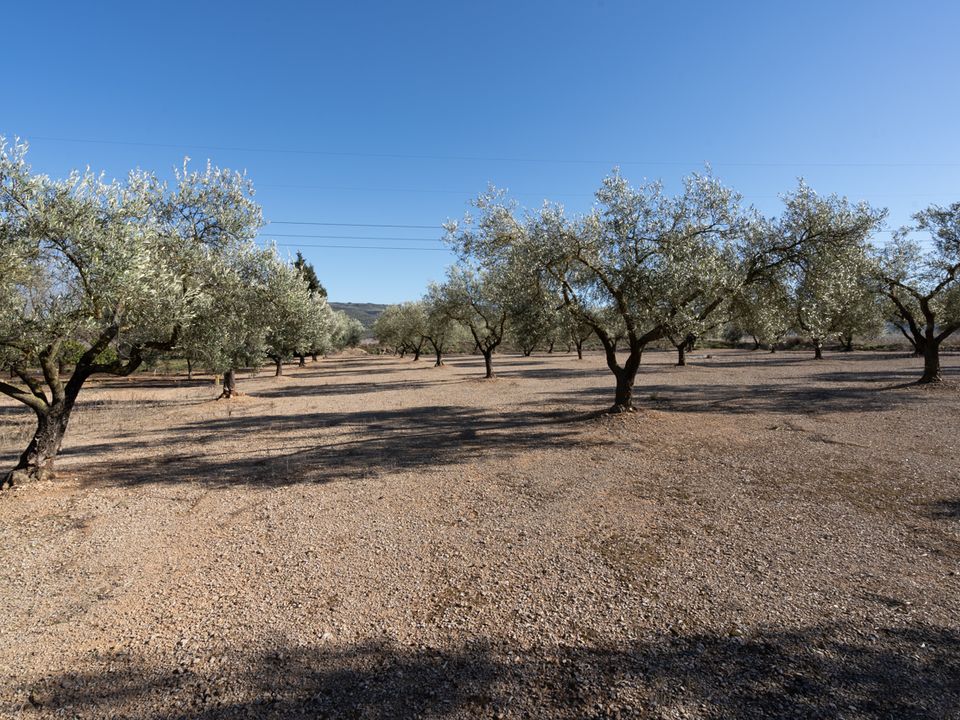Finca i La Galera, Tarragona - foto 1