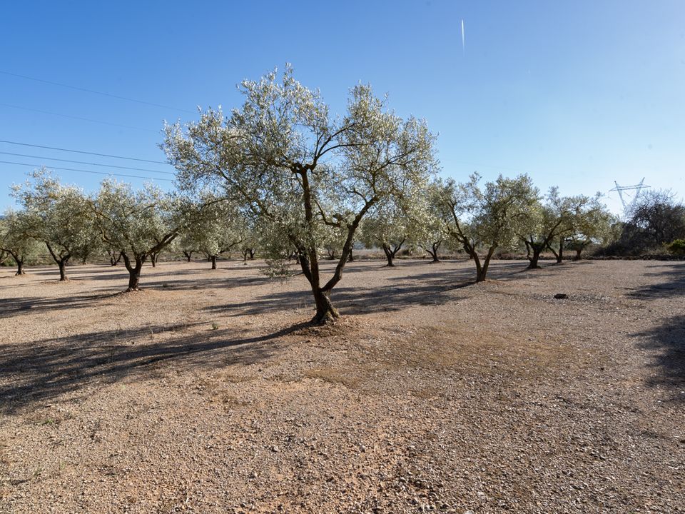 Finca i La Galera, Tarragona - foto 4