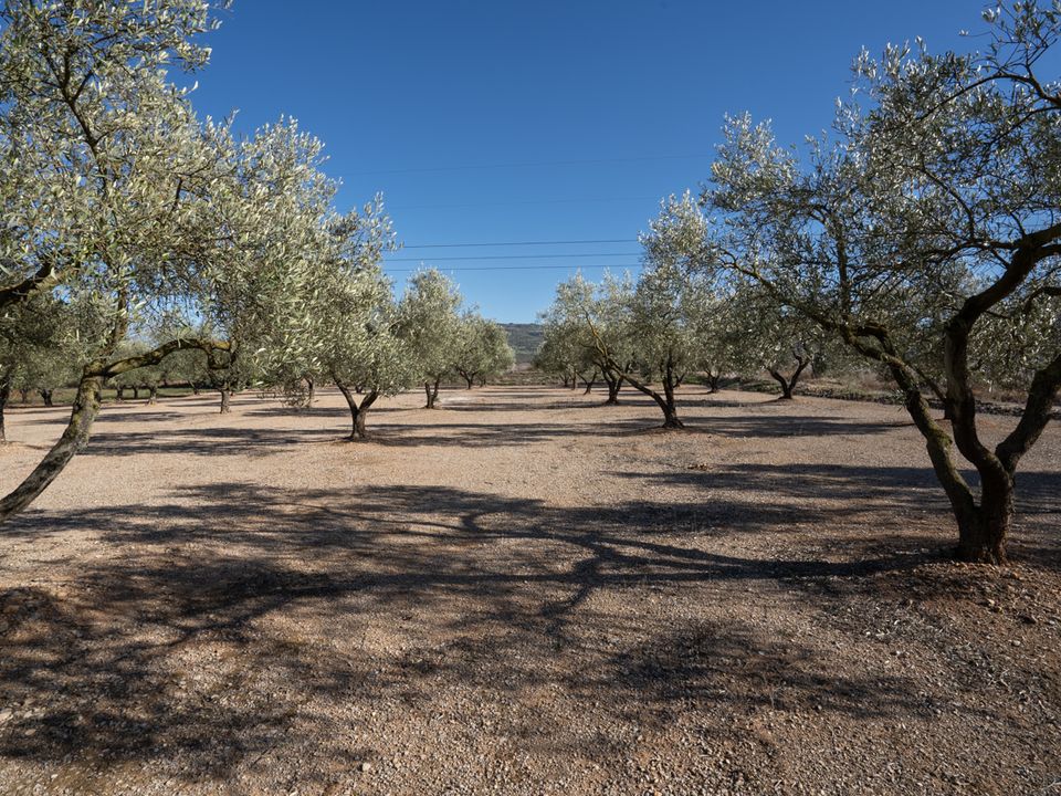 Finca i La Galera, Tarragona - foto 2