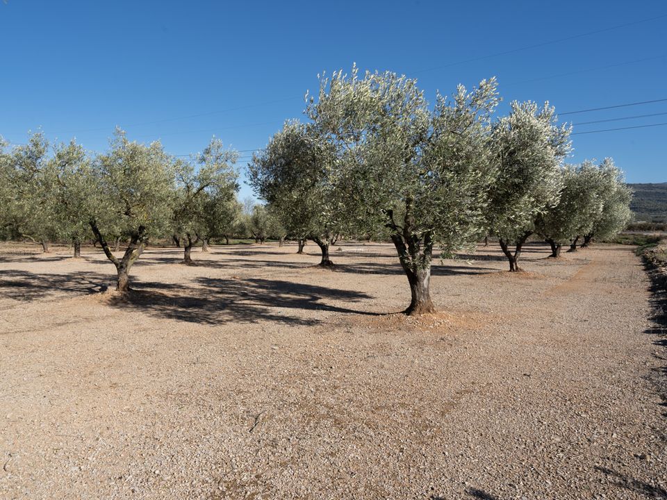 Finca i La Galera, Tarragona - foto 5
