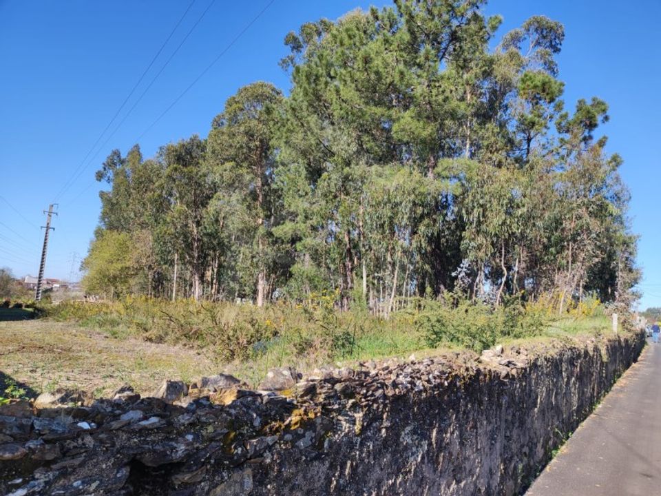 Helårsgrund i Oliveira de Azemeis, Aveiro - foto 1