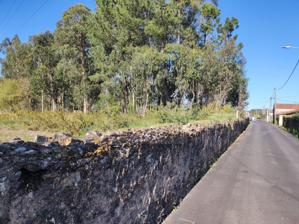 Helårsgrund i Oliveira de Azemeis, Aveiro - foto 3