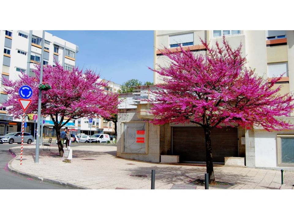 Erhvervsejendom i Alges, Lisbon - foto 1