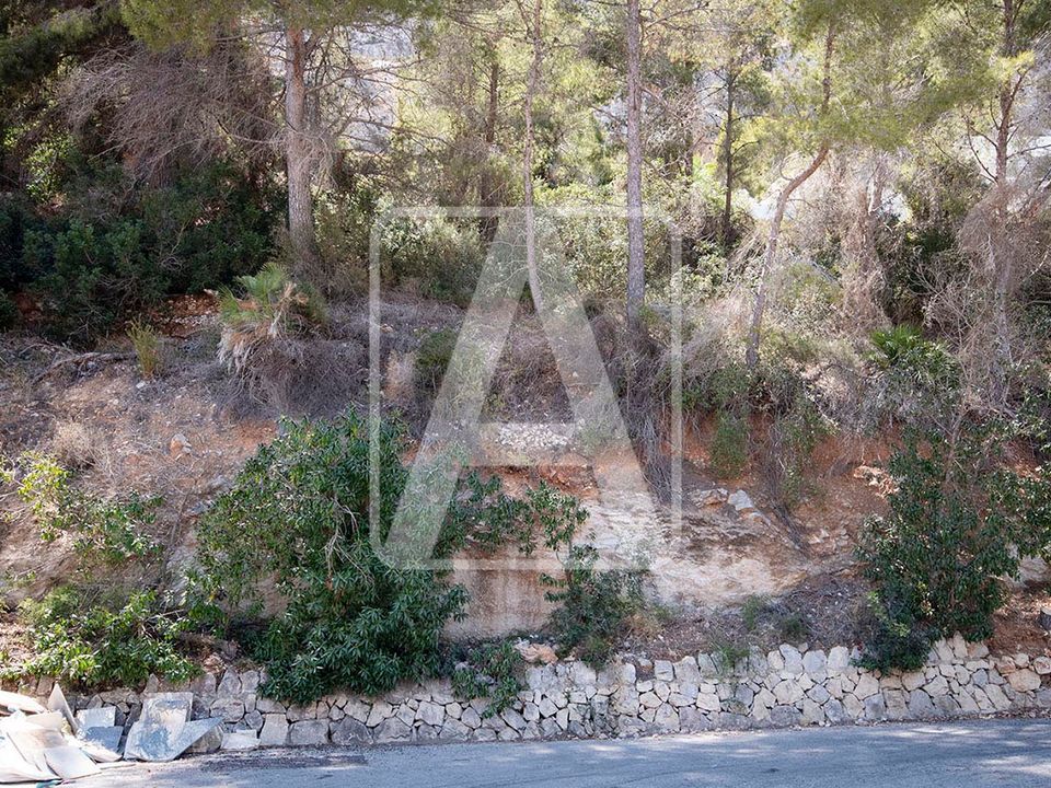 Helårsgrund i Calpe, Alicante - foto 3