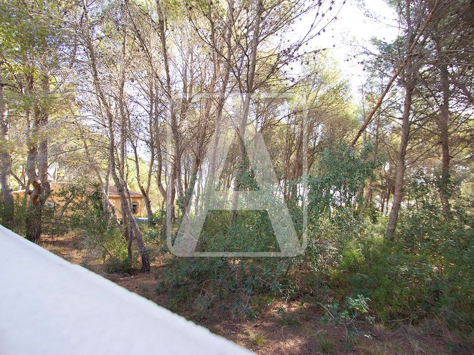Helårsgrund i Benissa, Alicante - foto 2