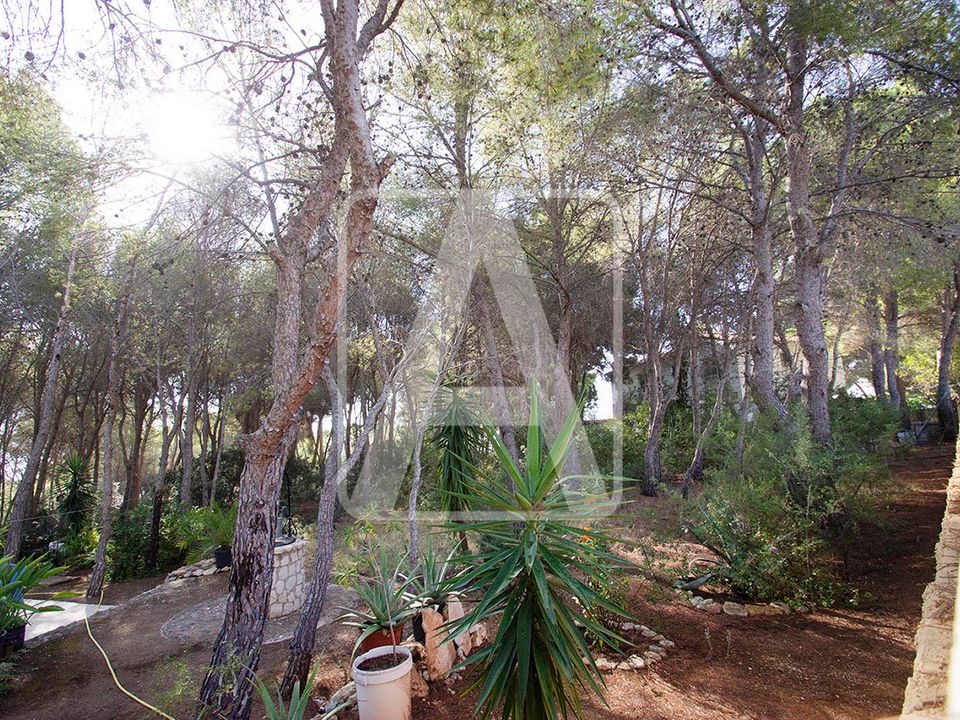 Helårsgrund i Benissa, Alicante - foto 4