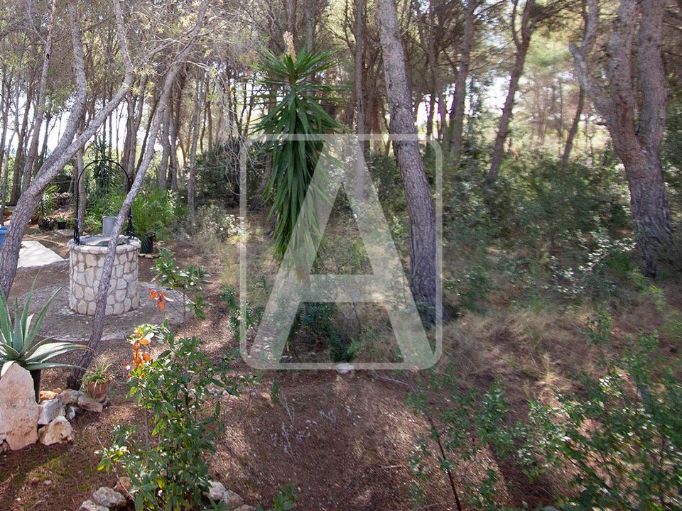 Helårsgrund i Benissa, Alicante - foto 5