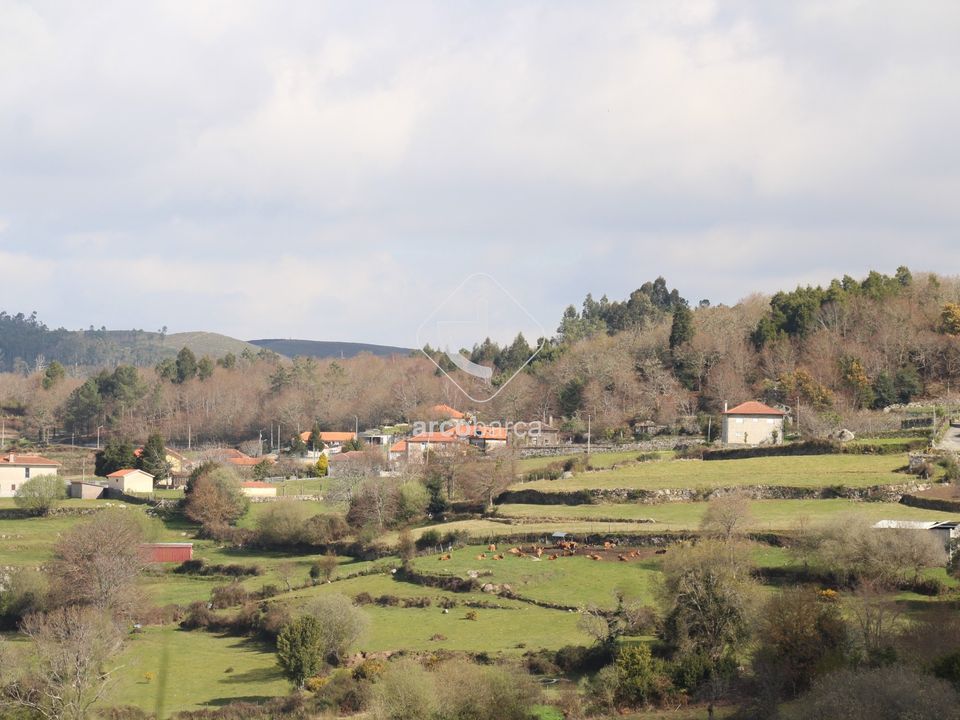 Farm i Paredes de Coura, Viana do Castelo - foto 5