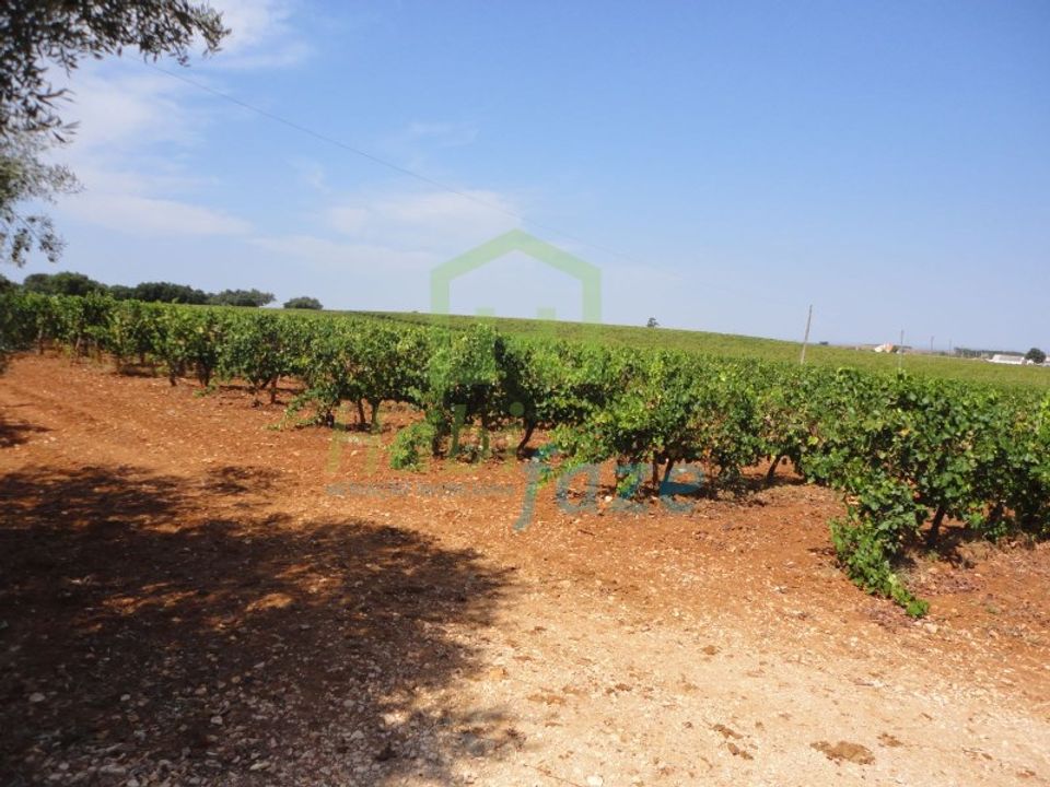 Landejendom i Sao Lourenco de Mamporcao e Sao Bento de Ana Loura, Evora - foto 1