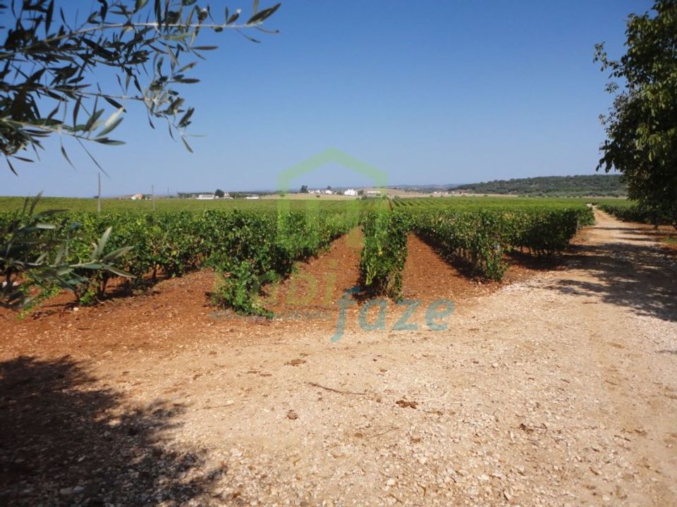 Landejendom i Sao Lourenco de Mamporcao e Sao Bento de Ana Loura, Evora - foto 2