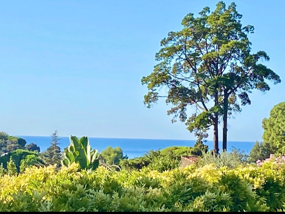 Villa i Cannes, Alpes-Maritimes - foto 2