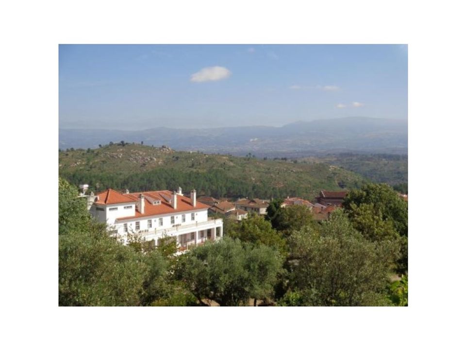 Farm i Abrunhosa-a-Velha, Viseu - foto 4