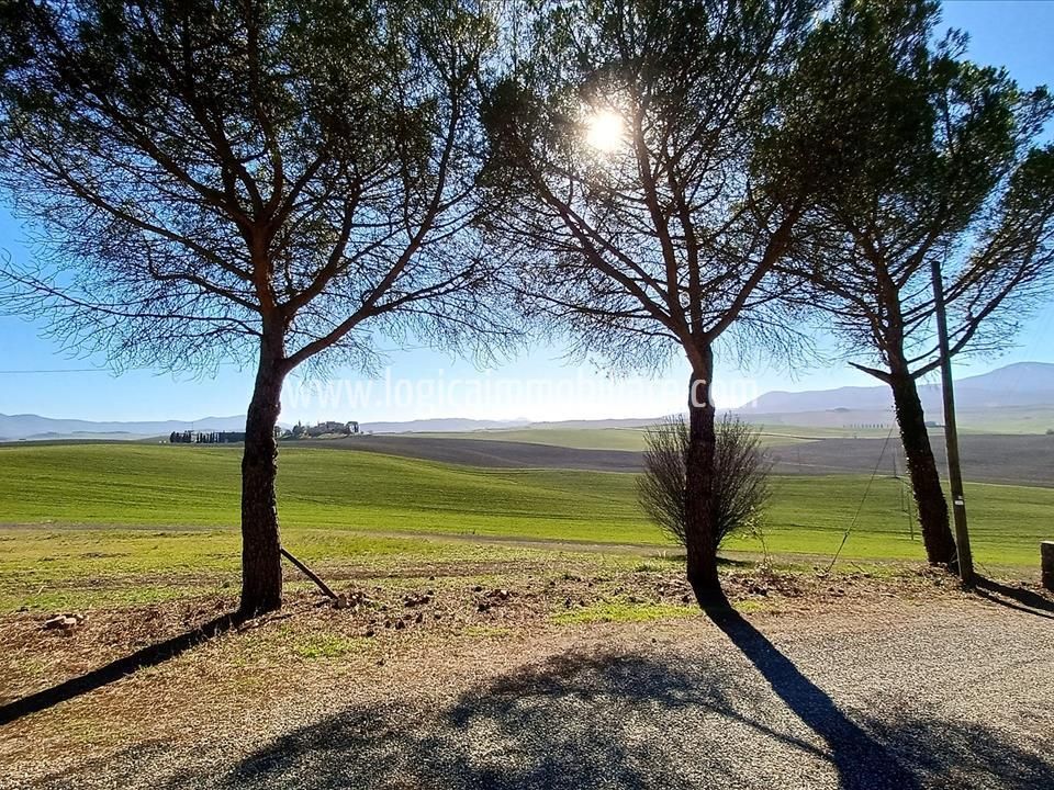 Farm hus i Castiglione d'Orcia, Siena - foto 3