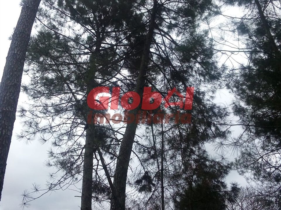 Helårsgrund i Viseu, Viseu - foto 3