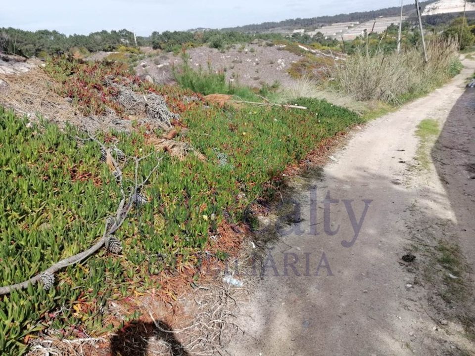 Helårsgrund i Obidos, Leiria - foto 5