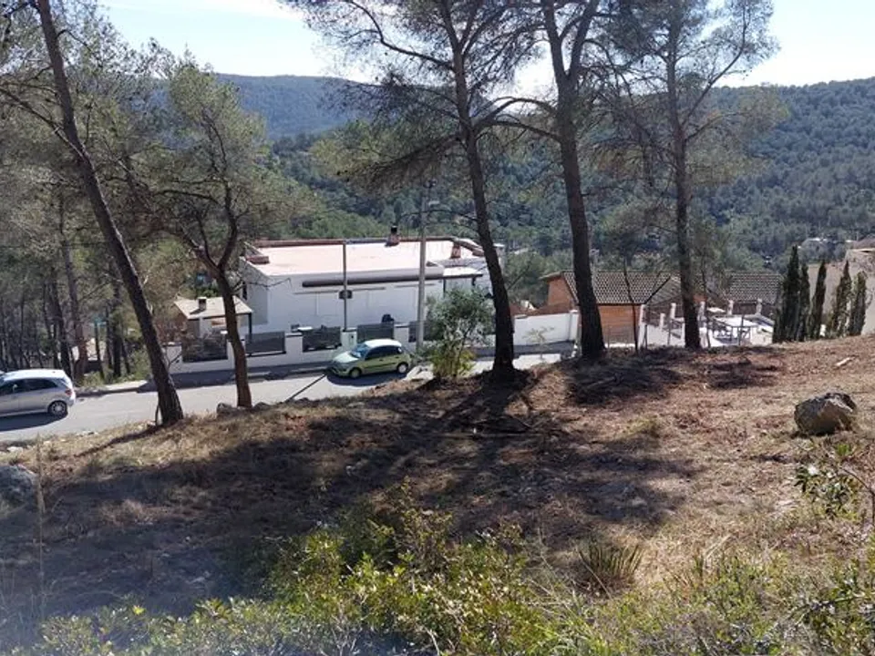 Helårsgrund i Olivella, Barcelona - foto 1