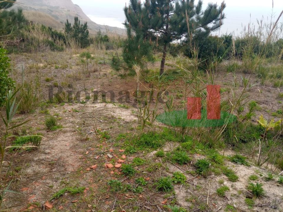Helårsgrund i Santo Onofre e Serra do Bouro, Leiria - foto 3