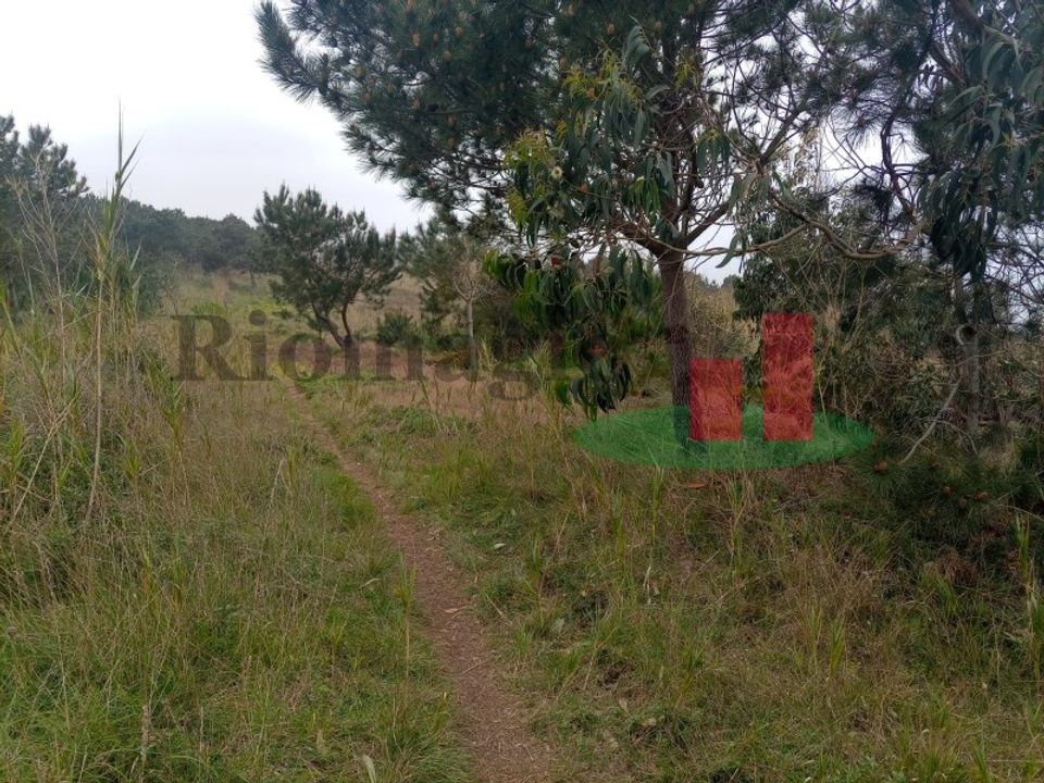 Helårsgrund i Santo Onofre e Serra do Bouro, Leiria - foto 1