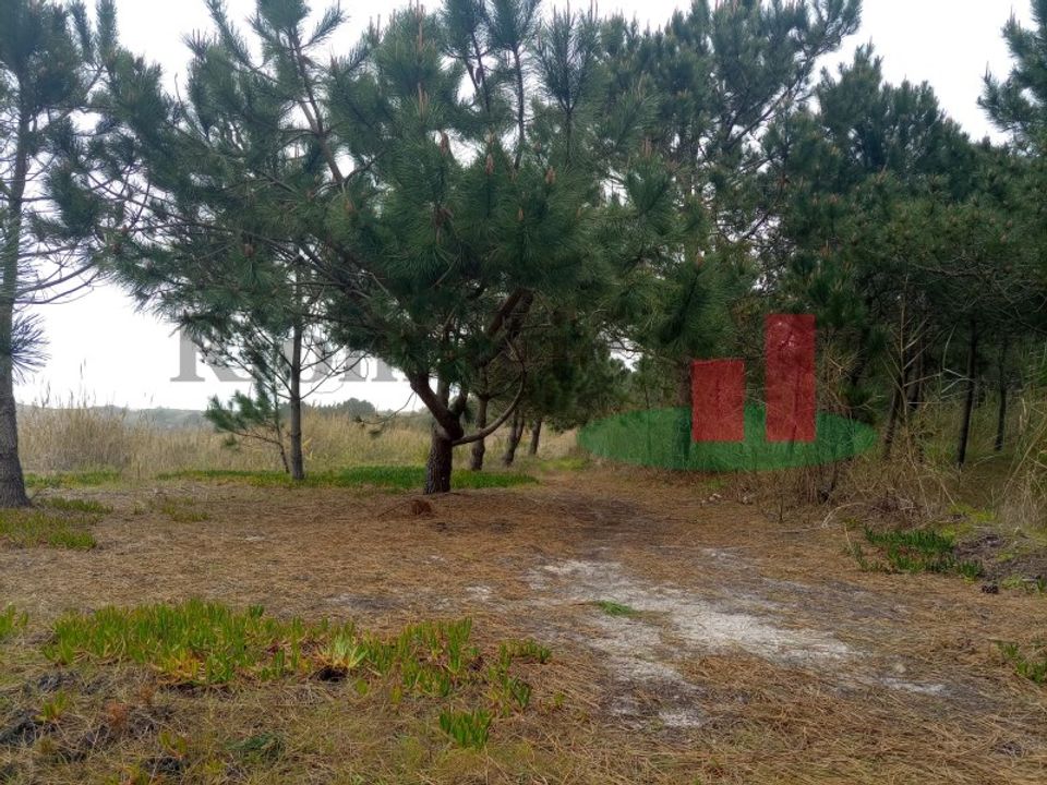 Helårsgrund i Santo Onofre e Serra do Bouro, Leiria - foto 4