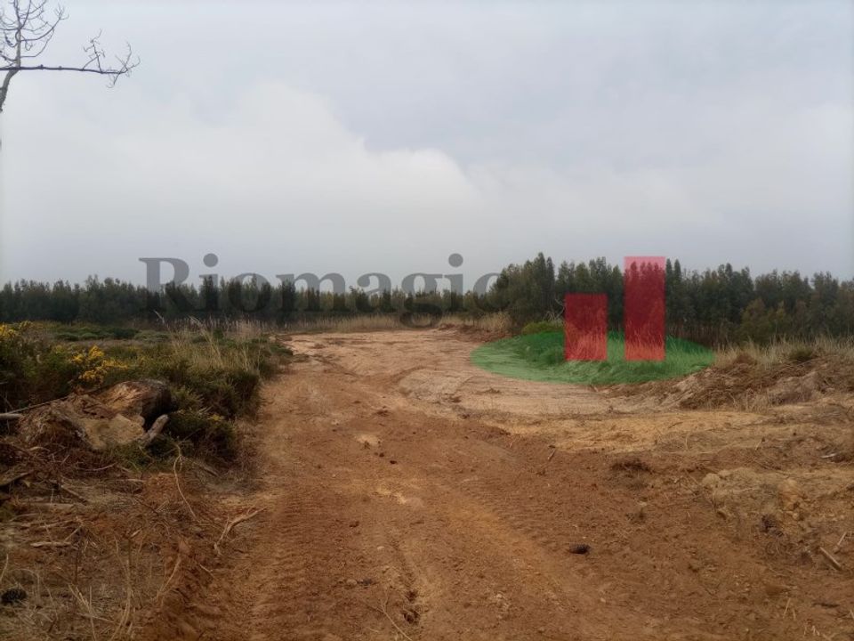 Terra a Santo Onofre e Serra do Bouro, Leiria - foto 1