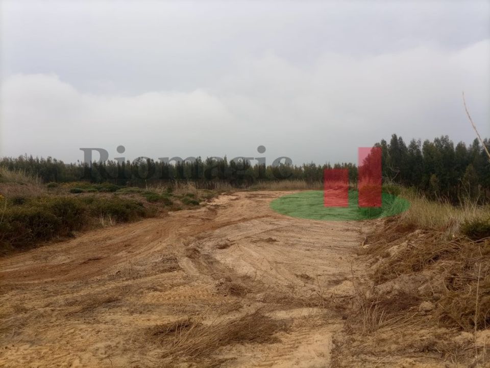 Terra a Santo Onofre e Serra do Bouro, Leiria - foto 2