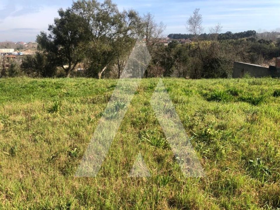 Helårsgrund i Anadia, Aveiro - foto 2