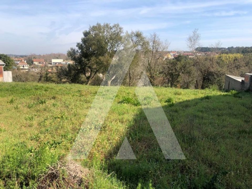 Helårsgrund i Anadia, Aveiro - foto 4