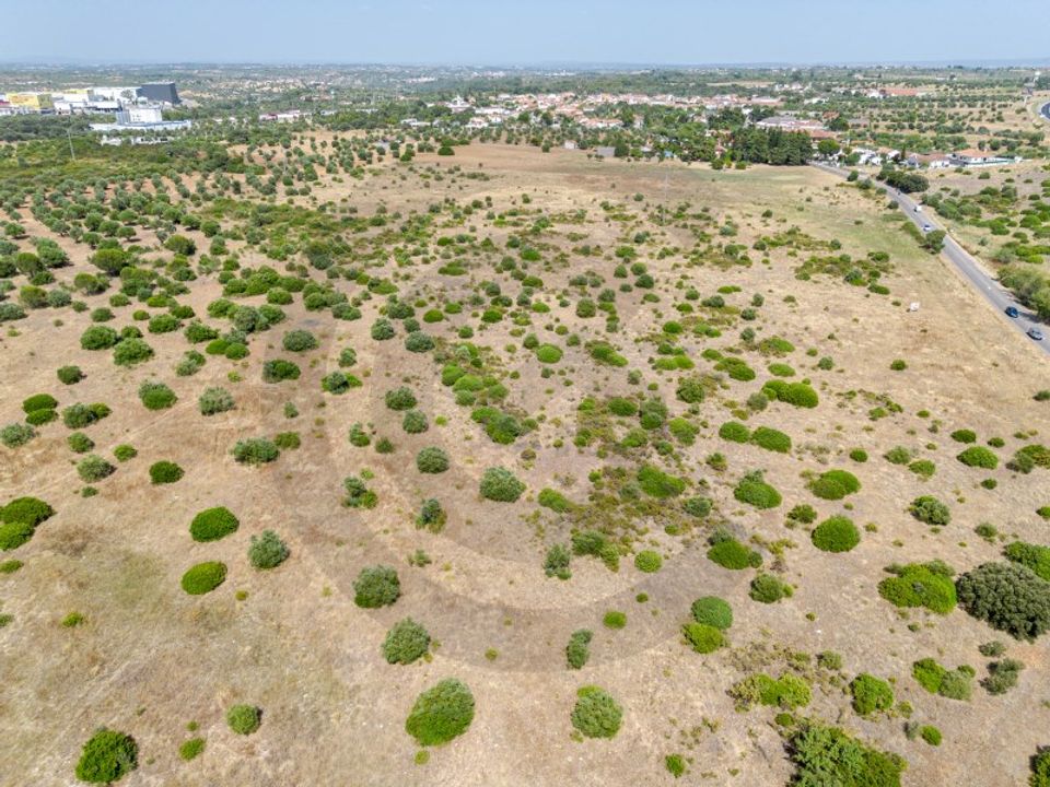 Helårsgrund i Torres Novas, Santarem - foto 3