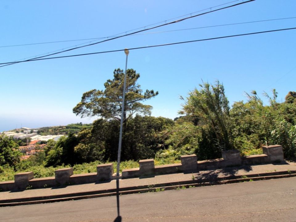 Helårsgrund i Caniço, Madeira - foto 4