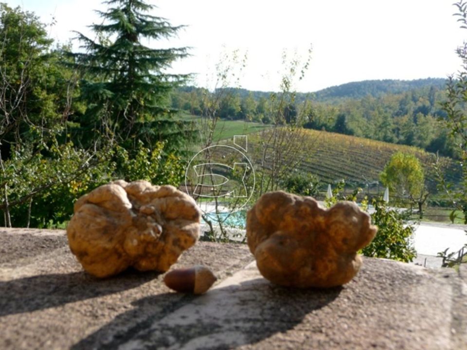 Landejendom i Rapolano Terme, Siena - foto 5