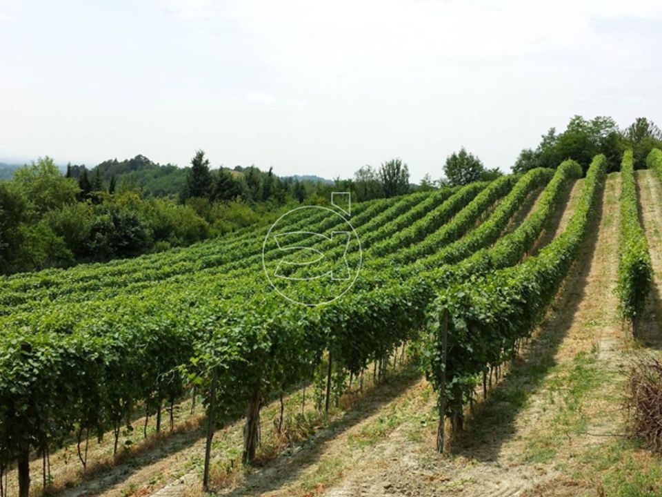 Landejendom i Montepulciano, Siena - foto 2