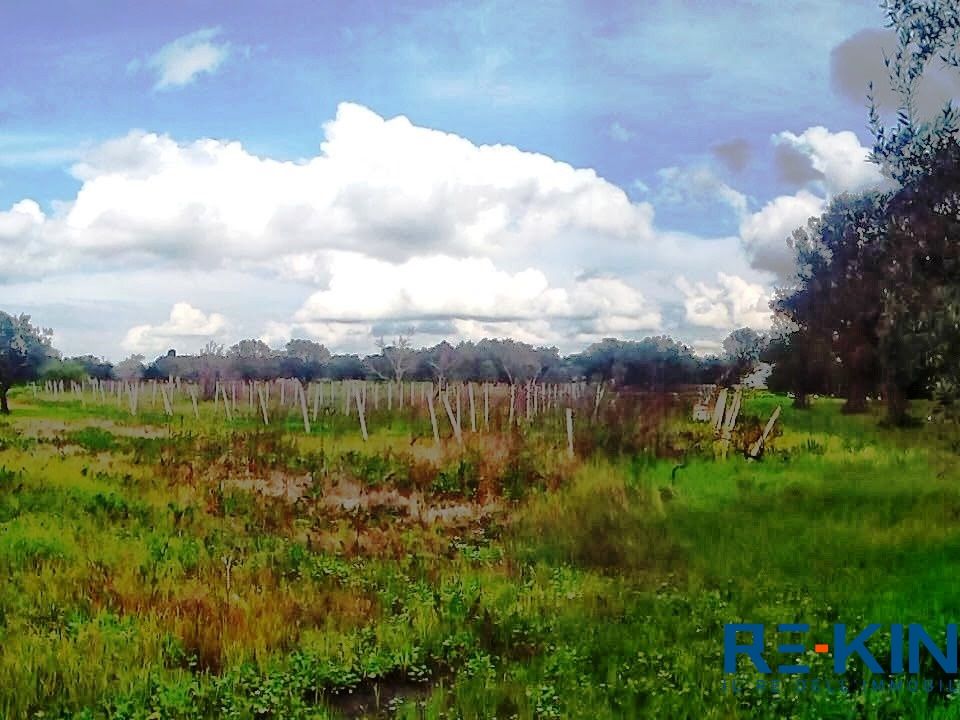 Helårsgrund i Matino, Lecce - foto 1