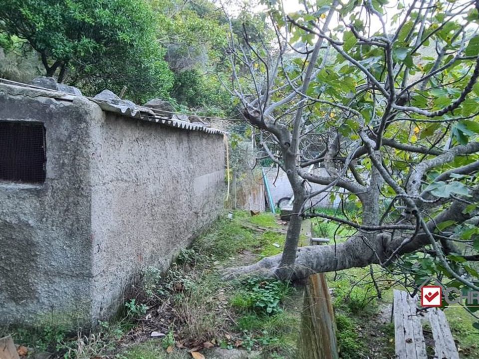 Helårsgrund i Messina, Messina - foto 5