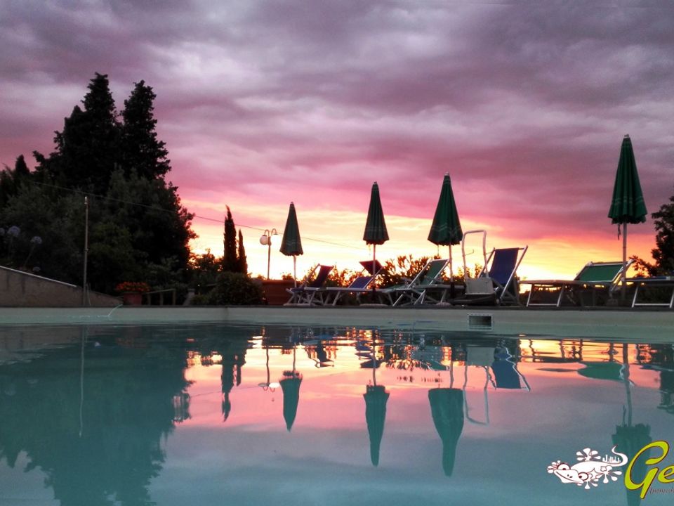 Villa i Certaldo, Florence - foto 2