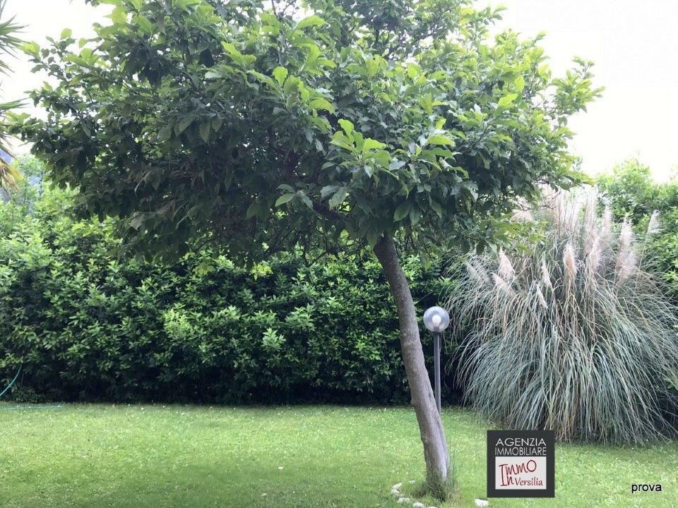Villa i Massarosa, Lucca - foto 3