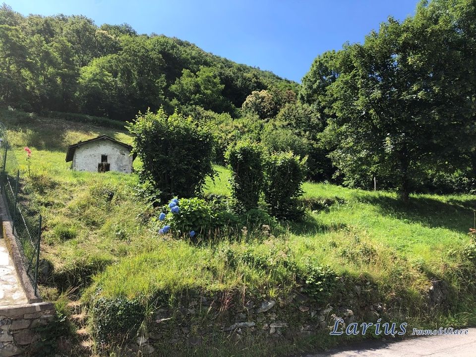 Helårsgrund i Canzo, Como - foto 1