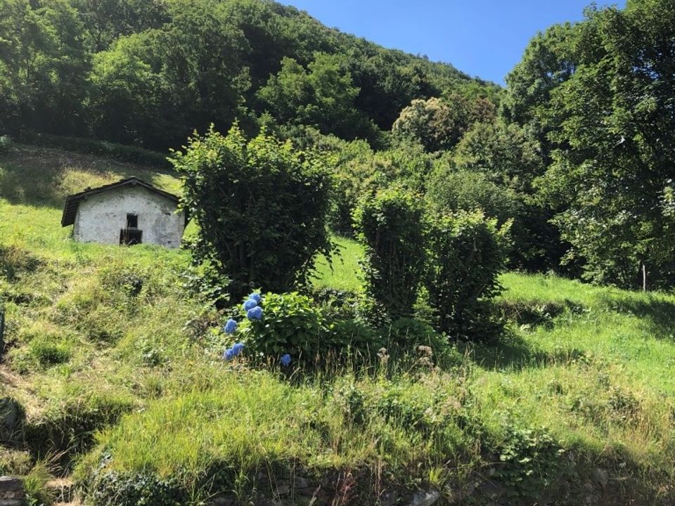 Helårsgrund i Canzo, Como - foto 2
