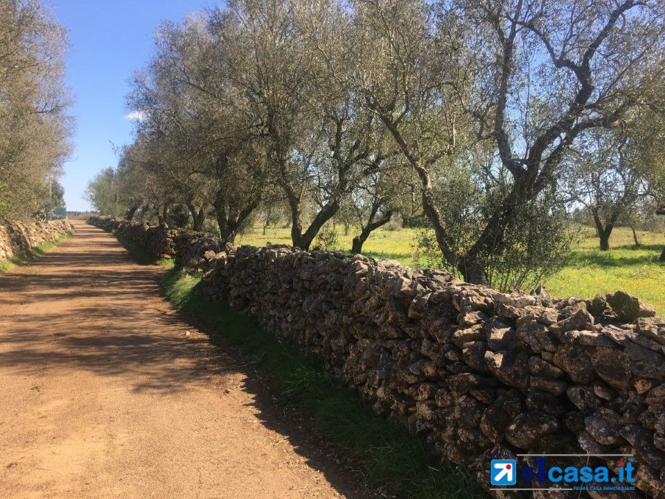 Helårsgrund i Galatina, Lecce - foto 4