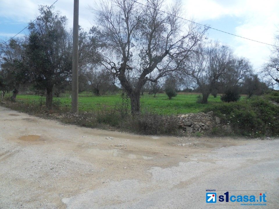 Helårsgrund i Galatone, Lecce - foto 3