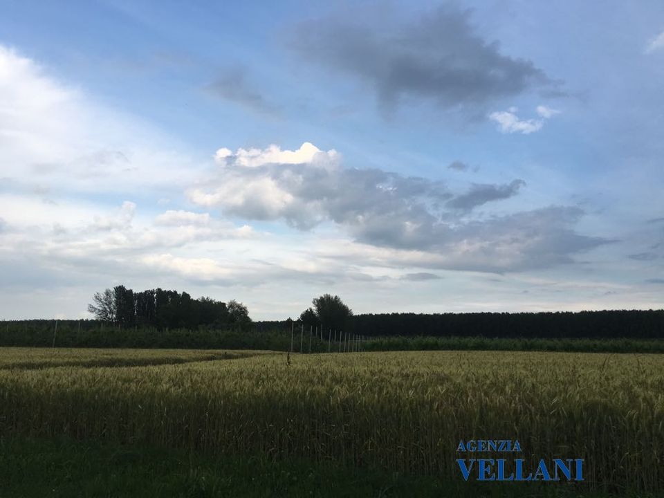 Villa i Carpi, Modena - foto 4