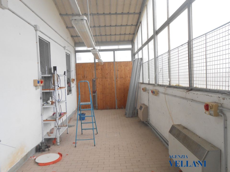 L'establiment comercial a Carpi, Modena - foto 5